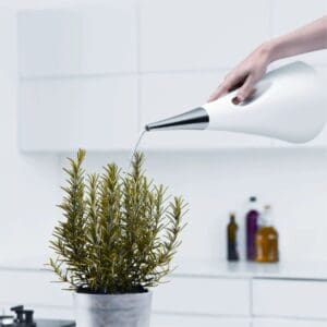 Eva Solo AquaStar Watering Can White