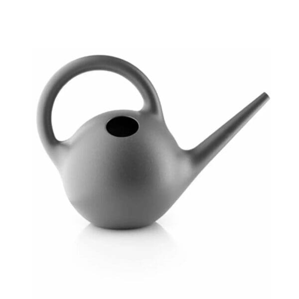 Eva Solo Globe Watering Can 2.5L