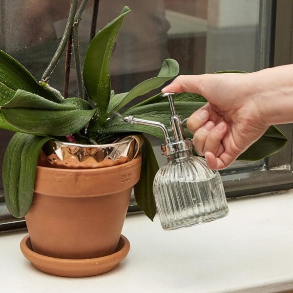 Handheld Glass Plant Mister