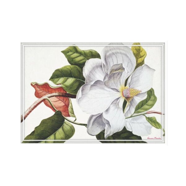 Anna-Maud Vinyl Placemats Magnolia White