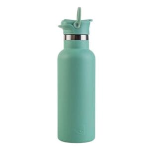 Lizzard "The Bottle" 500ML Sage